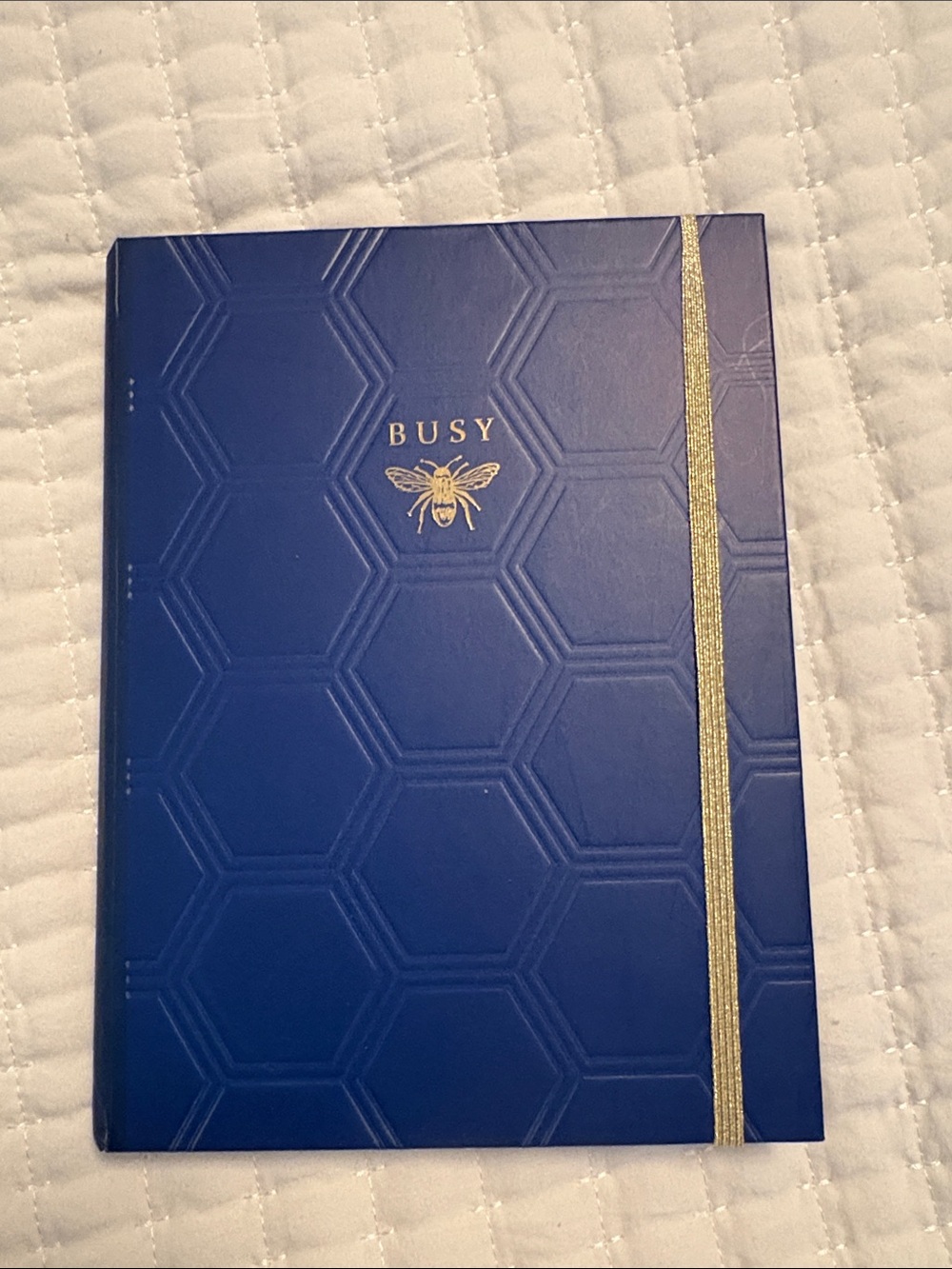 Barnes & Noble Blue 'Busy' Bee Hardcover Notebook with Gold Accent